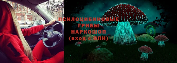 эйфоретик Аркадак