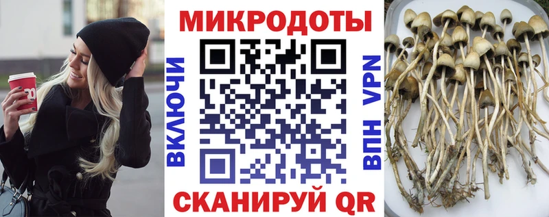 наркошоп  Бакал  Псилоцибиновые грибы MAGIC MUSHROOMS 